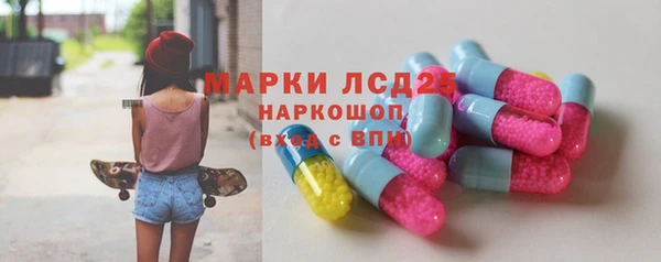ECSTASY Новозыбков