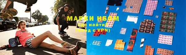 прущие грибы Нефтекумск