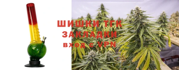 индика Балахна