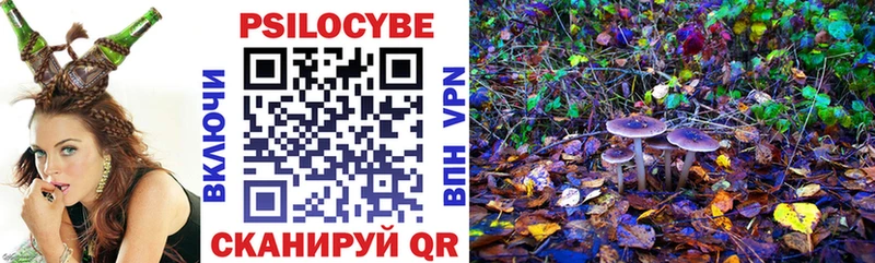 Псилоцибиновые грибы GOLDEN TEACHER Сосенский
